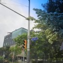 롯데마트 이팝나무 이미지