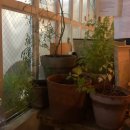 블랑(BLANC) 이미지