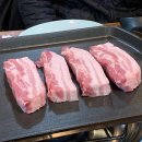 담소한마리