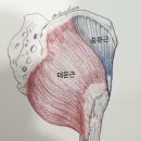 미라온한의원 이미지
