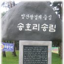 솔밭족구장화장실 이미지