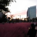 혁신도시중앙공원 이미지