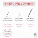 벨루스헤어 이미지