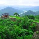 금성여행사 - 정읍시 | 금성여행사
