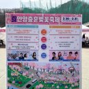 사)소울음아트센터 | 안양천 벚꽃 데이트 안양충훈벚꽃축제 주차 일정 정보
