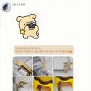 소라크레