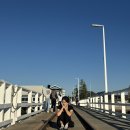 Felix Gym | 한달꽉꽉눌러담은 6월 2025