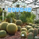 정발산공원 화장실-5 | 일산 아이랑 갈만한곳 일산호수공원 선인장전시관 실내 전시