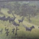 박철희농장 이미지