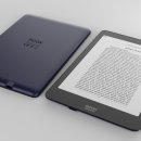 오닉스(ONYX) 이미지