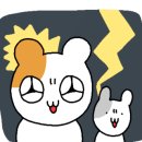 으뜸50안경 창원팔용점 이미지