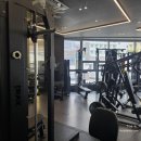 더그레이짐 이미지