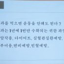 미리농장 네이버블로그