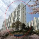 다대11-2 이미지