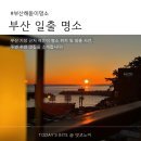맥도날드 부산기장DT점 | 부산 기장 해돋이 명소와 함께 즐기는 근처 맛집 리스트 8곳