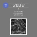 박근준유외과의원 이미지