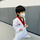 다오름태권도장 이미지