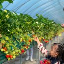 정현농장 이미지