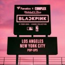 인(IN)스포츠 이미지