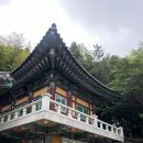 내원정사 옆 네이버블로그