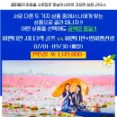 위더스관광 이미지