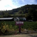 덕우민박 이미지