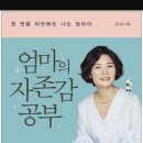 엄마의 자존감 공부 - 김미경 이미지