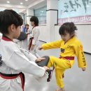 대성 태권도장 | 의정부유치부태권도 대성태권도에서의 변화를 경험하세요