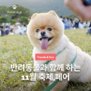오늘도 즐겁개 | 🐾 11월 반려동물 축제 총정리｜사천·통영·대전·창원·일산 전국 반려견·반려묘 행사 모음