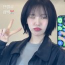로민헤어 대구 삼덕점 단발 매직 셋팅펌 볼륨매직 단발 머리 전문 채연 디자이너 솔직 후기