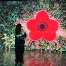 남원시립김병종미술관 | [남원 가볼만한 곳] 남원시립김병종미술관 무료전시 관람후기