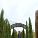 자라섬자전거대여소 이미지