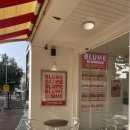 펫츠베이 제주노형점 | [제주시 카페] 노형동 블루메베이글 방문 후기