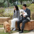 김건희농장 이미지