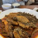 금빛코다리 이미지