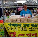 정선신토불이