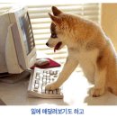 참 좋은 세상
