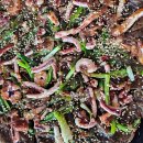 은빛 비치는 돌 이미지