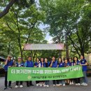 둔산3동 행정복지센터 Daum카페