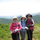 삼공주 이미지