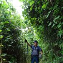 신광면/비학산 이미지