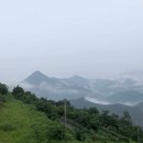 바람이 좋은 저녁 이미지