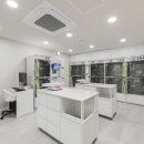 삼성동물종합병원 이미지