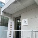 리본 윈도우