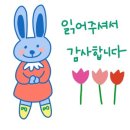 모리동물병원 이미지