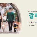 갈채 이미지