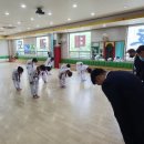 청송태권도장 이미지