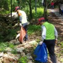 무릉도원면-25 이미지