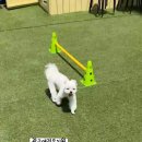 헬로우버디 광교점 이미지