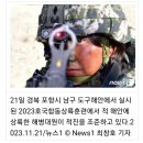 [1사단 소식] [화보] 해병대1사단 포항서 &#39;호국합동상륙훈련&#39; 실시 이미지